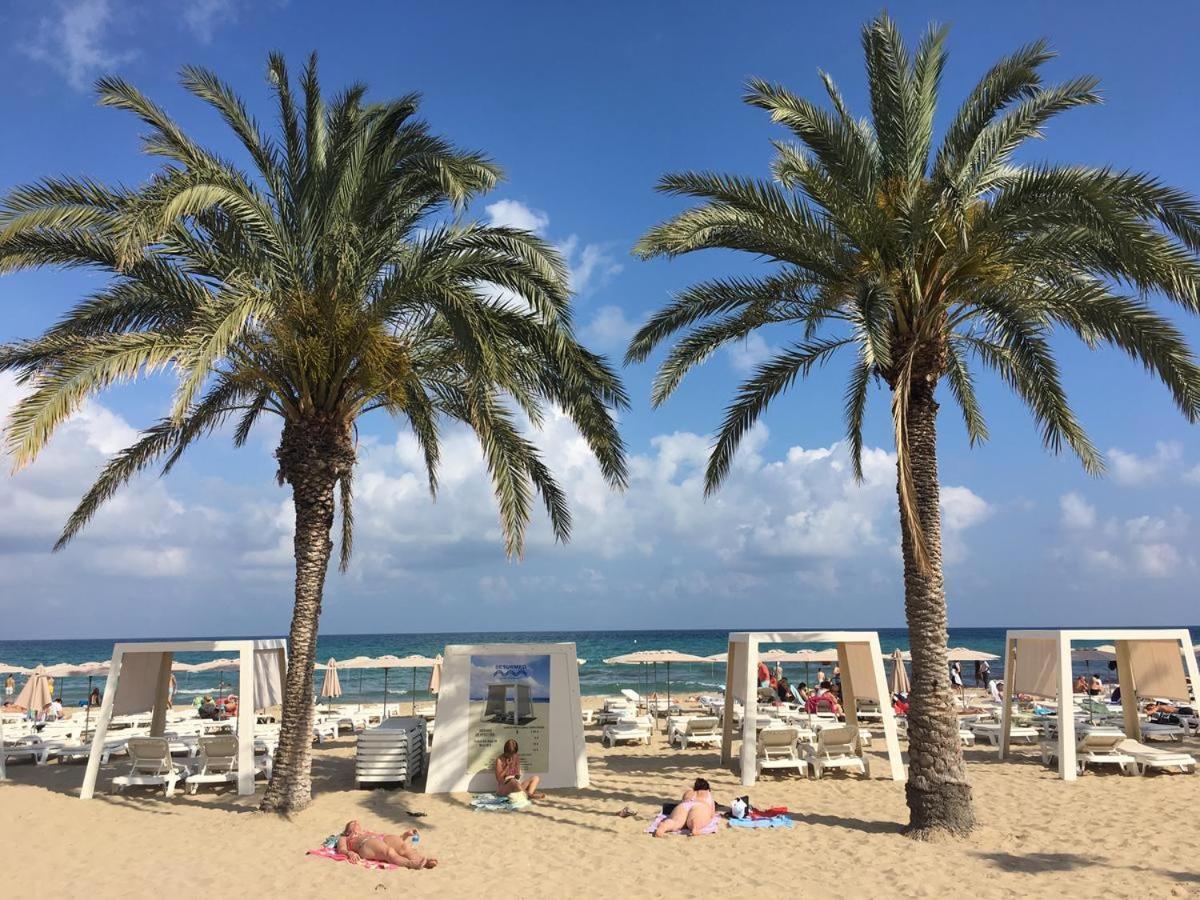 Domange I Apartment Alicante Kültér fotó
